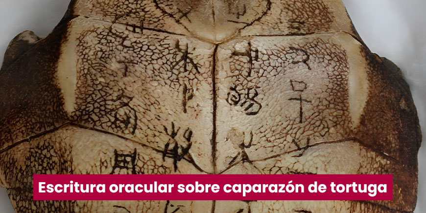 Escritura oracular sobre caparazón de tortuga - National Museum of Chinese Writing